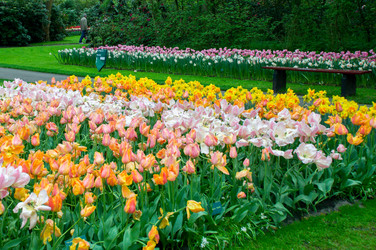 Similar image 12976427