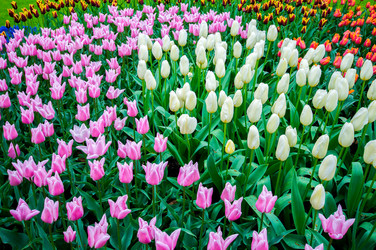 Similar image 12976439