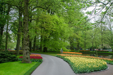 Similar image 12976485