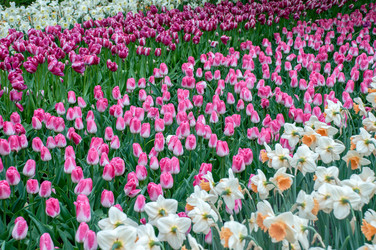 Similar image 12976501