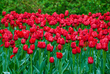 Similar image 12976503