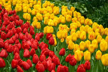 Similar image 12976504