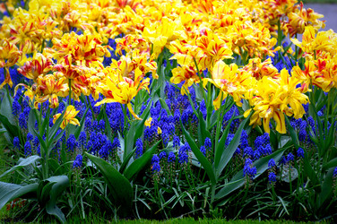 Similar image 12976533