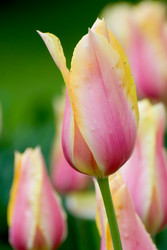 Similar image 12976535