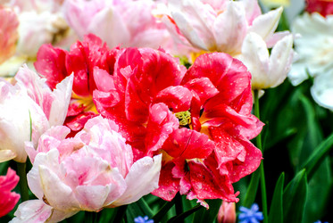 Similar image 12976537