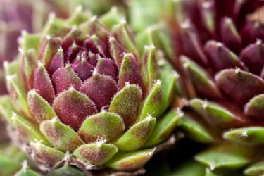 Similar image 12698466