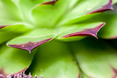 Similar image 12698467