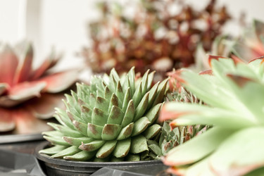 Similar image 12698468