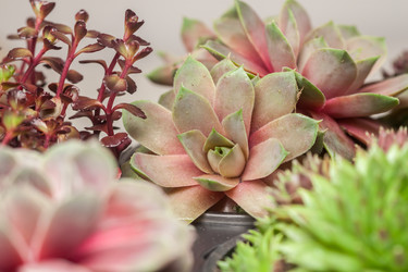 Similar image 12698469