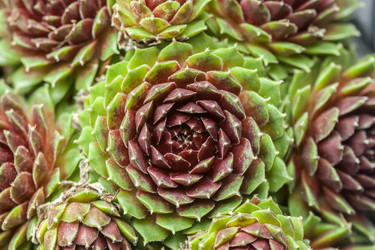 Similar image 12698502