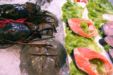 Similar image 12691840