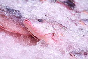 Similar image 12691841