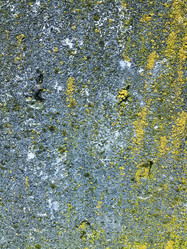 Similar image 12695762