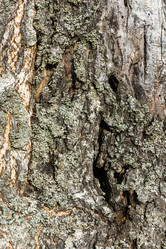 Similar image 12988925