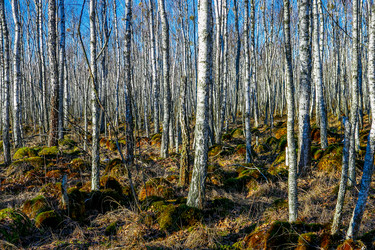 Similar image 12692153