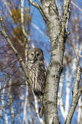 Similar image 12692200