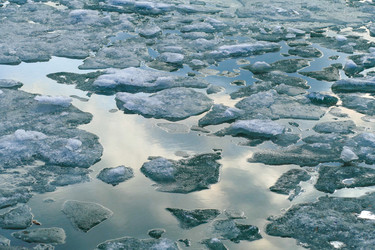 Similar image 12695669