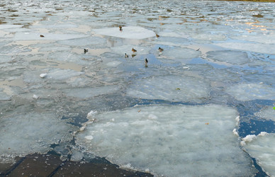 Similar image 12695704