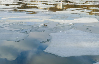 Similar image 12695705