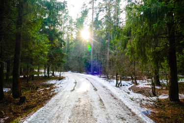 Similar image 12977554