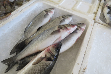 Similar image 12689948