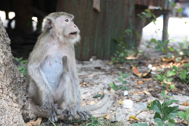 Similar image 12691782