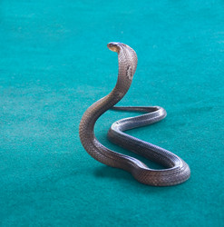 Similar image 12693862