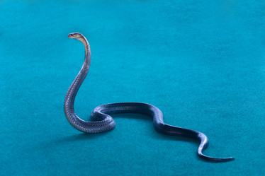 Similar image 12690699