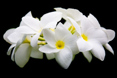 Similar image 12690700