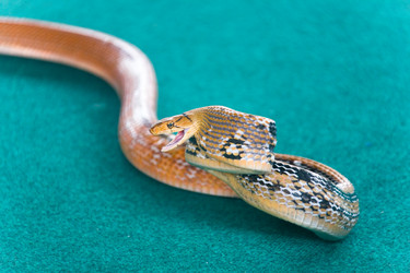 Similar image 12693863