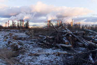 Similar image 12693864