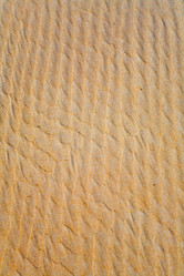 Similar image 12693865