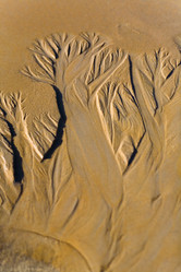 Similar image 12690716