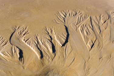 Similar image 12693866