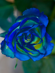 Similar image 12690719