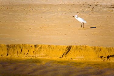 Similar image 12690683