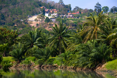 Similar image 12693822