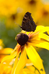 Similar image 12693824