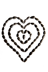 Similar image 12693825