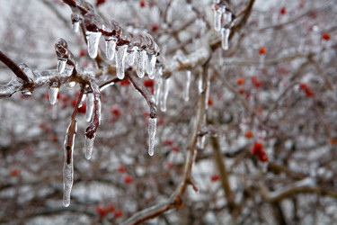 Similar image 12693870