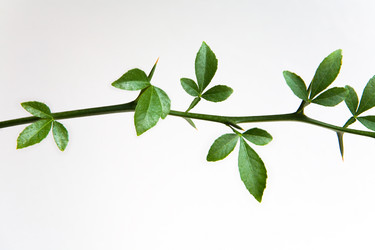 Similar image 12690705