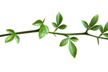 Similar image 12693873