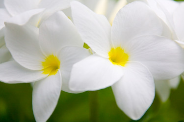 Similar image 12690711