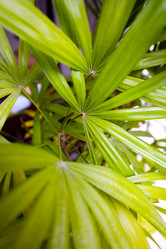 Similar image 12690712