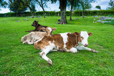 Similar image 12690177