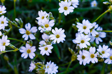 Similar image 12692292