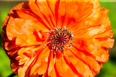 Similar image 12692293