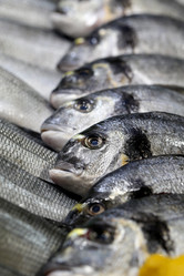 Similar image 12689713