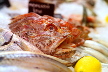 Similar image 12689714