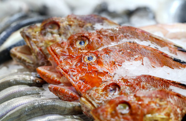 Similar image 12689715